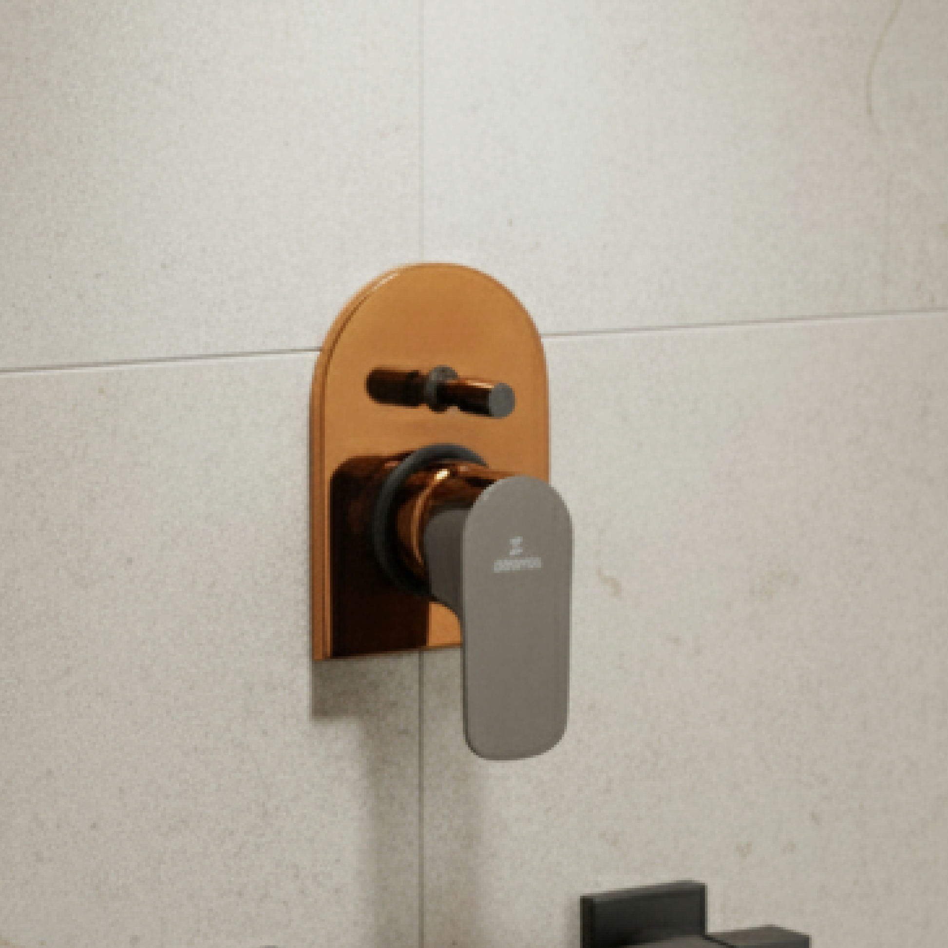 DIVERTER PLATE-F0056