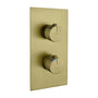 Brass thermostatic diverter with 3 outlets in brush gold