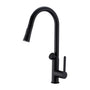 Kitpro kitchen tap in matt black