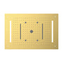 Pioneer 600 x 400 mm LED ceiling concealed shower in brush gold